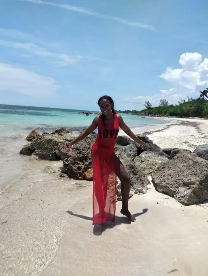 Apartamento Bruce Seacastle Vacation Penthouse Montego Bay