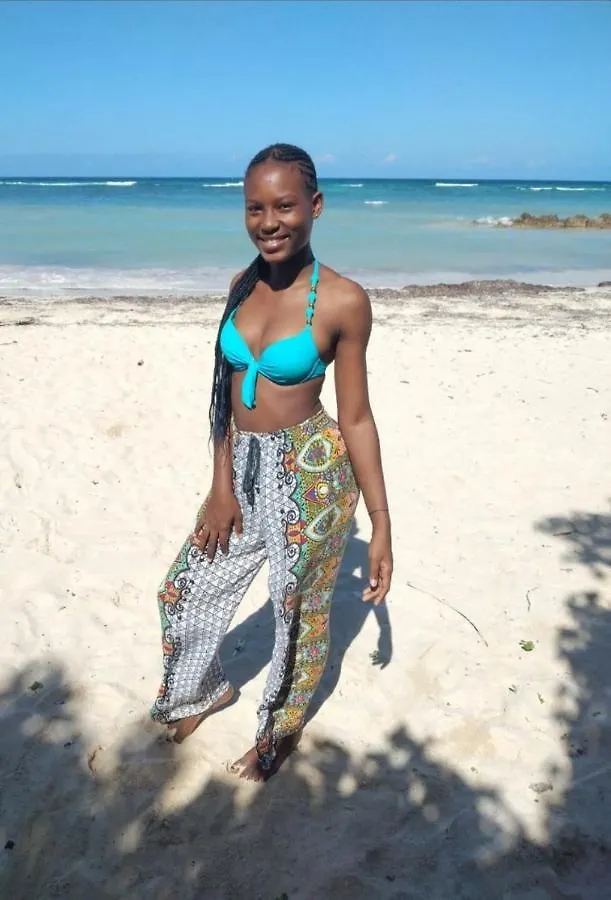 Bruce Seacastle Vacation Penthouse Lejlighed Montego Bay