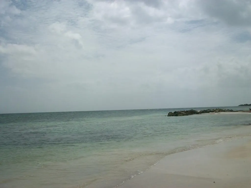 Bruce Seacastle Vacation Penthouse Lejlighed Montego Bay